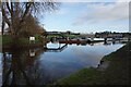 Trent & Mersey Canal at Stenson Marina