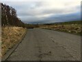 Site access road near Sinclairston