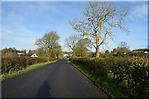 H5767 : Altamuskin Road, Cloghfin by Kenneth  Allen