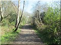 Former Railway Line through Darra Hall