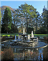 TL4557 : Cambridge University Botanic Garden: fountain and fine trees by John Sutton