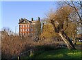 January by Barnes Pond: an odd contrast