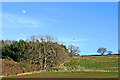 SO7794 : Woodland and farmland near Dallicott in Shropshire by Roger  Kidd