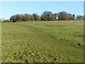 Fields above Normanton