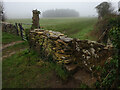 SO9700 : Stone Stile, Coates by Mr Red