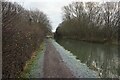 Coventry Canal towards bridge #59