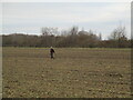 Metal detector near Brough