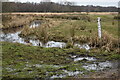 Depth marker and drainage ditch on Coward?s Marsh