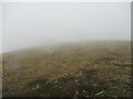 NN8775 : Featureless plateau near the summit of Beinn Mheadhonach by Alan O'Dowd