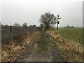 SJ6095 : Farm track alongside the railway near Highfield Farm by Steven Brown