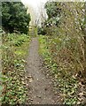 Footpath at Edwalton