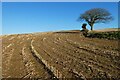 Farmland, St Michael Penkevil