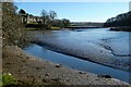 Creek at Lamorran, St Michael Penkevil