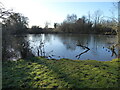 Pond at Woodhouse Farm