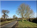 Coole Lane near Austerson Hall