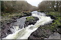 Dwr gwyllt Afon Tywi / Afon Tywi rapids