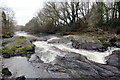 Dwr gwyllt Afon Tywi / River Tywi rapids