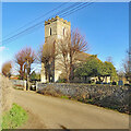 Worlington: All Saints from Church Lane