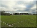 East end of Glebelands recreation ground