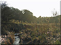 The Erring Burn in open ground south of Hallington Mill