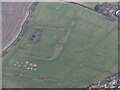 Hall Close moated site, Scredington: aerial 2022