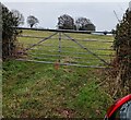 7-bar field gate in rural Monmouthshire