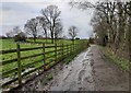 Track at Lilleshall Abbey