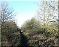 Former colliery railway at Tanfield Lea