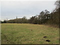 Grassland and woodland by the River Meden