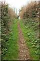 Path to Kingskerswell Road