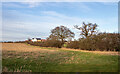 Arable field off Watery Lane, Hullbridge