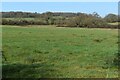 Fields north of Haythorne