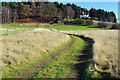 Track to Harborough Hill