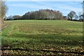 Uphill field view at Bagman?s Farm