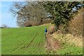 A sunny bank near Horton Heath Farm