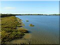 River Wyre from Shard Bridge (2)