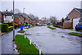 Typical suburban street scene on The Lea