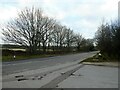 Winter trees opposite Wyldecrest Park on the A323