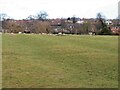 Ridge and furrow in Great Ayton