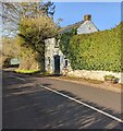 SO4115 : House, hedge and trees, Tal-y-Coed, Monmouthshire by Jaggery