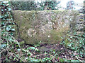 Stone Stile, Mork, Forest of Dean