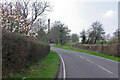 B2150 towards Hambledon