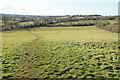 Footpath towards Hook Norton