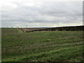 The Lincolnshire Wolds near Greetham