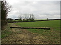 Autumn sown field near Greetham