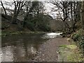 River Derwent at Rowlands Gill