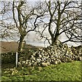 Clearance cairn, Laidlawstiel