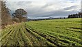 The Shropshire Way (Bromfield)