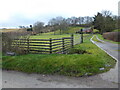 Cwmdale near Llandyssil