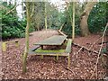 Picnic spot on the Millennium Way, near New End